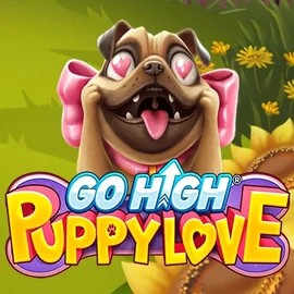 Go High Puppy Love slot logo by RubyPlay at WinMega Casino